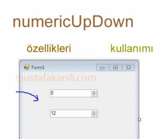 NumericUpDown Kullanımı ve Özellikleri (C# Net)